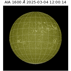 saia - 2025-03-04T12:00:14.125000