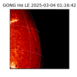 gong - 2025-03-04T01:16:42