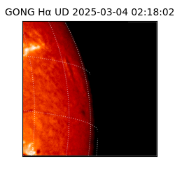 gong - 2025-03-04T02:18:02