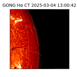 gong - 2025-03-04T13:00:42