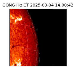 gong - 2025-03-04T14:00:42