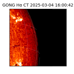 gong - 2025-03-04T16:00:42