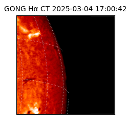 gong - 2025-03-04T17:00:42