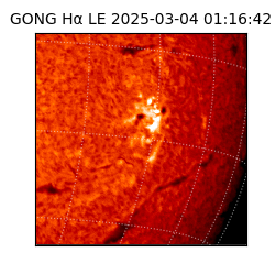gong - 2025-03-04T01:16:42