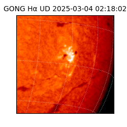 gong - 2025-03-04T02:18:02