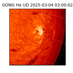 gong - 2025-03-04T03:00:02