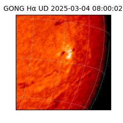 gong - 2025-03-04T08:00:02