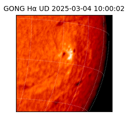 gong - 2025-03-04T10:00:02