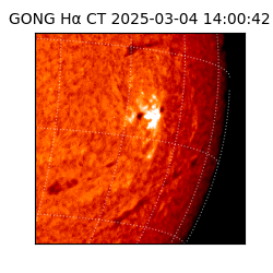 gong - 2025-03-04T14:00:42