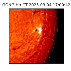 gong - 2025-03-04T17:00:42