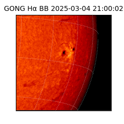 gong - 2025-03-04T21:00:02