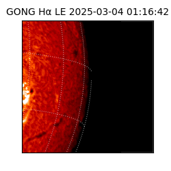 gong - 2025-03-04T01:16:42
