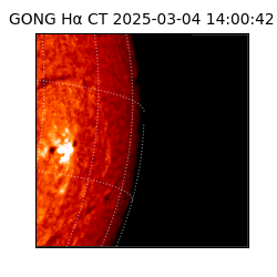 gong - 2025-03-04T14:00:42