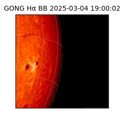 gong - 2025-03-04T19:00:02