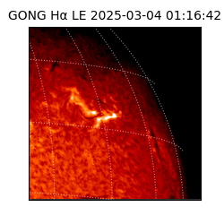 gong - 2025-03-04T01:16:42