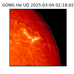 gong - 2025-03-04T02:18:02