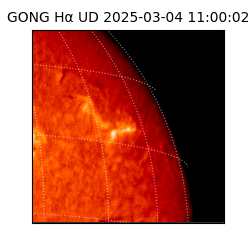 gong - 2025-03-04T11:00:02