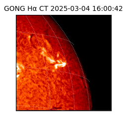 gong - 2025-03-04T16:00:42