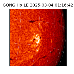gong - 2025-03-04T01:16:42