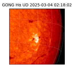 gong - 2025-03-04T02:18:02