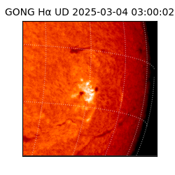 gong - 2025-03-04T03:00:02