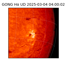 gong - 2025-03-04T04:00:02