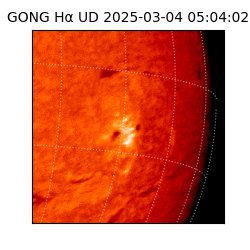gong - 2025-03-04T05:04:02