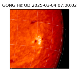 gong - 2025-03-04T07:00:02