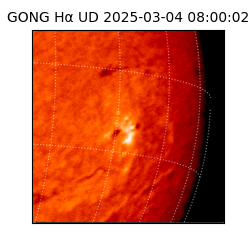 gong - 2025-03-04T08:00:02