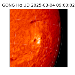 gong - 2025-03-04T09:00:02