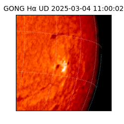 gong - 2025-03-04T11:00:02