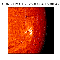 gong - 2025-03-04T15:00:42