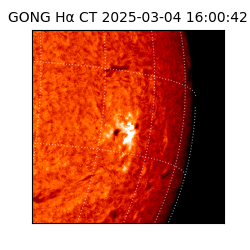 gong - 2025-03-04T16:00:42