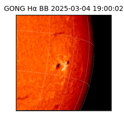 gong - 2025-03-04T19:00:02