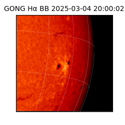 gong - 2025-03-04T20:00:02