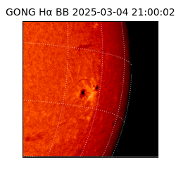 gong - 2025-03-04T21:00:02