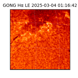 gong - 2025-03-04T01:16:42