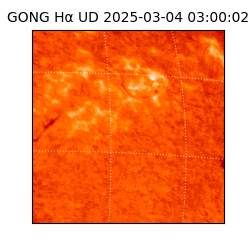 gong - 2025-03-04T03:00:02