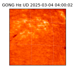 gong - 2025-03-04T04:00:02