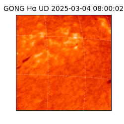 gong - 2025-03-04T08:00:02