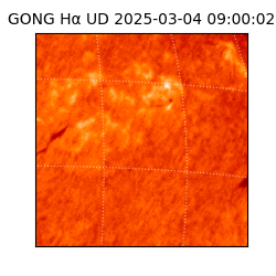 gong - 2025-03-04T09:00:02