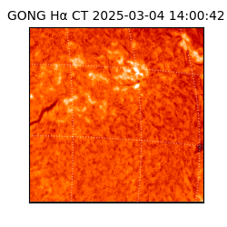 gong - 2025-03-04T14:00:42