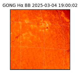 gong - 2025-03-04T19:00:02