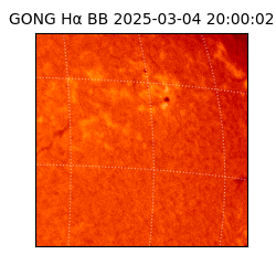 gong - 2025-03-04T20:00:02