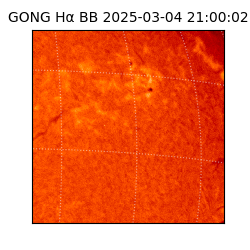 gong - 2025-03-04T21:00:02