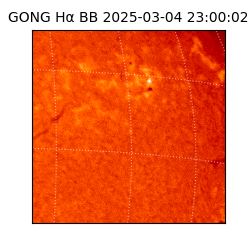 gong - 2025-03-04T23:00:02