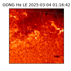 gong - 2025-03-04T01:16:42