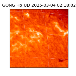 gong - 2025-03-04T02:18:02
