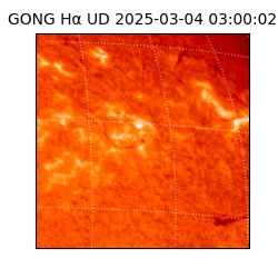 gong - 2025-03-04T03:00:02