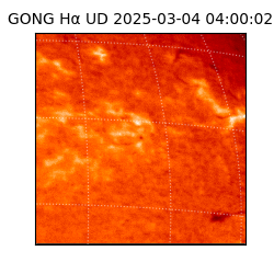 gong - 2025-03-04T04:00:02